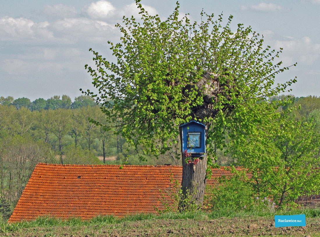 Zdjęcie pikniku kolejowego